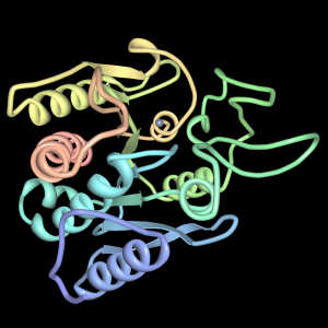 carboxypeptidase a